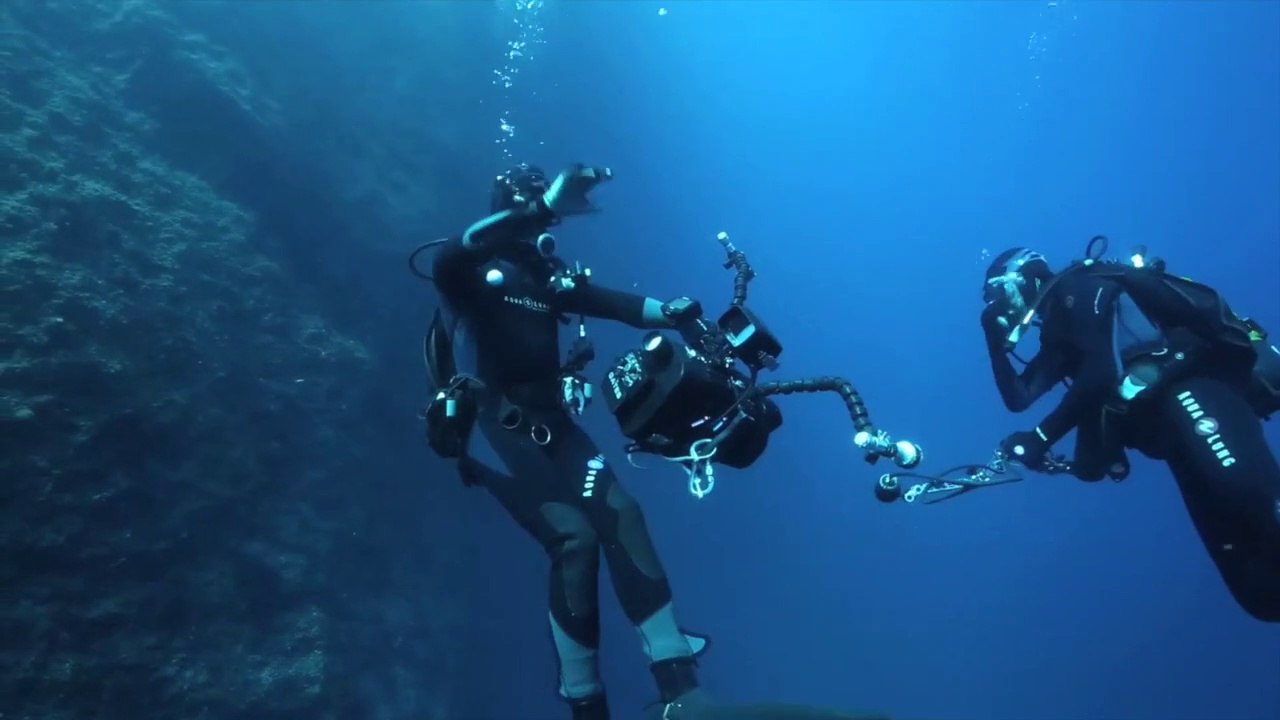 Marseille : un stage pour réaliser de superbes clichés sous-marins