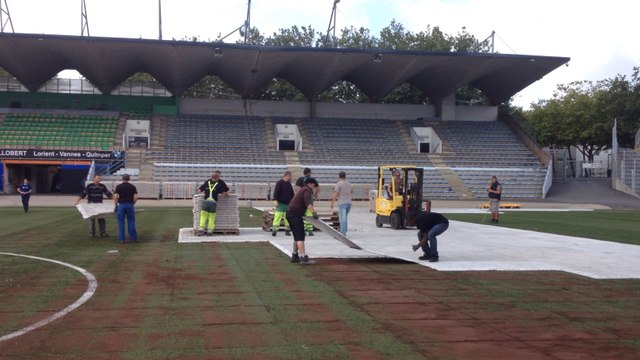 Remise en état de la pelouse