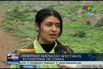 Peruanos resguardan y protegen zona ecológica cercana a Lima