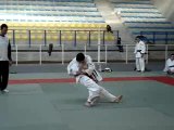 Judo (corg)2