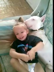 Sometimes you gotta nap with your lazy dog