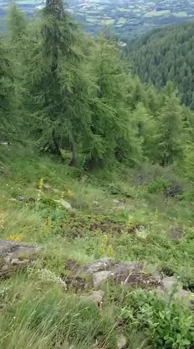 MOV_0150