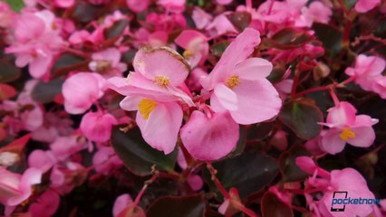 Samsung Galaxy K zoom review