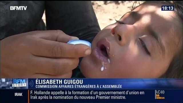 BFM Story: Irak: faut-il livrer des armes aux forces kurdes ? - 11/08