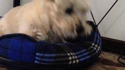 Divinity Giving Herself a Rub