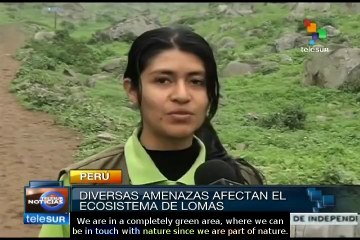 Peru: Communities organise themselves to Quebrada Verde's ecosystem