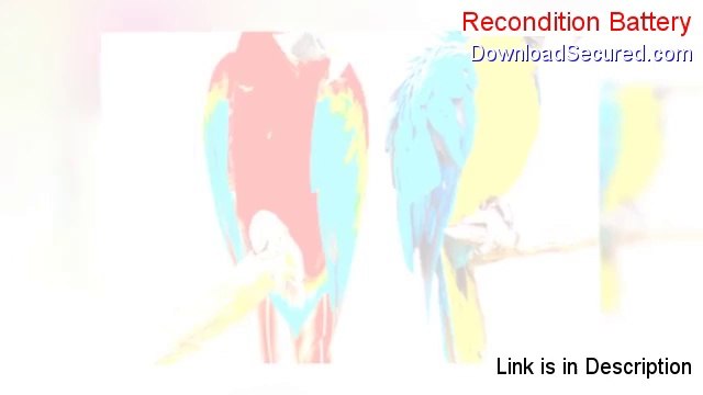 Recondition Battery PDF (recondition battery guide)