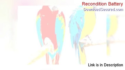 Recondition Battery PDF (recondition battery guide)