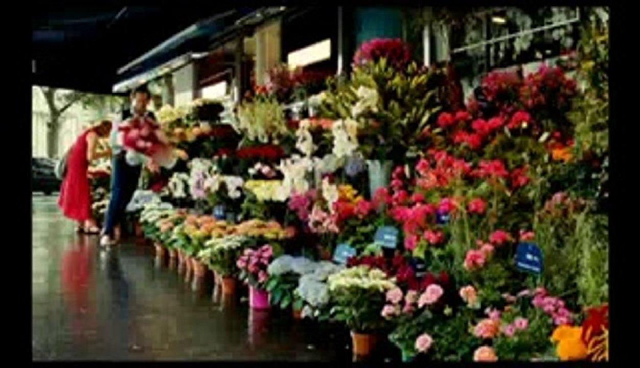 Mutluluk Asla Yalnız Gelmez - Fragman