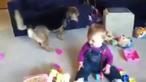 Küçük Bebeğin Köpekle Arkadaşlığı