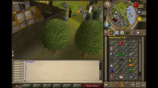 PlayerUp.com - Buy Sell Accounts - selling runescape account(10)
