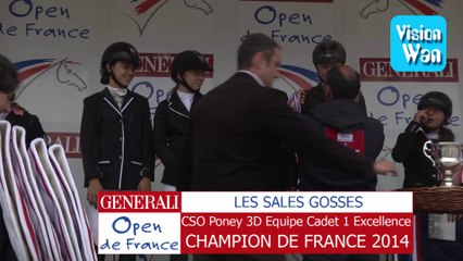 cso poney 3 d equipe cadet 1 excellence