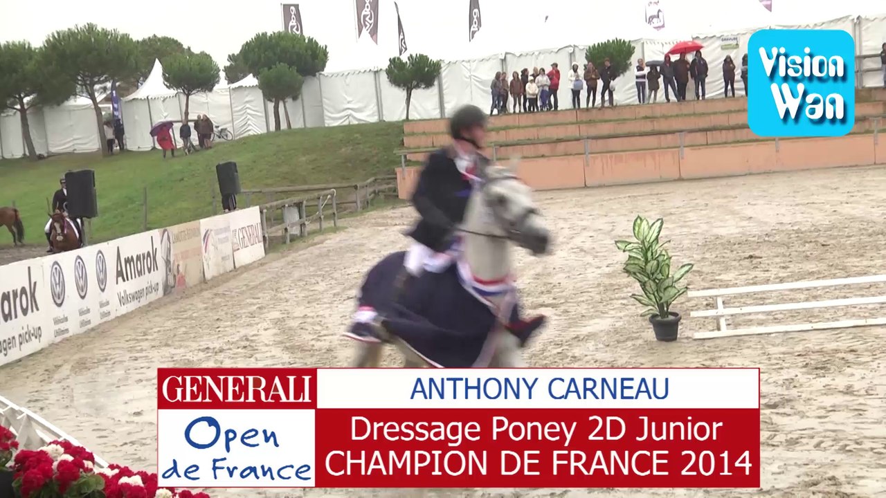 dressage poney 2 d junior