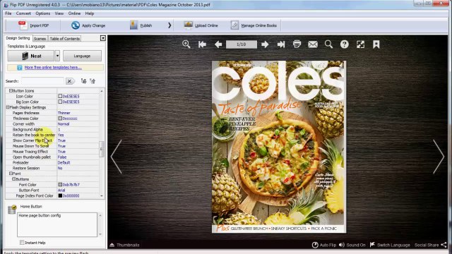 Enrich Digital Publication with A-PDF FlipBook Creator