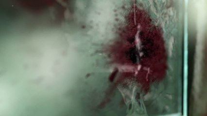 Teaser HORROR REINVENTED