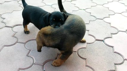 Test kamery LG G2 Mini