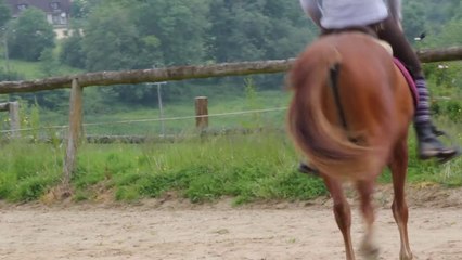 Aristo de la Butte, PFS, 4 ans