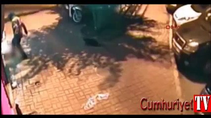 İstanbul'da kan donduran görüntü: Yavru kedileri böyle öldürdü