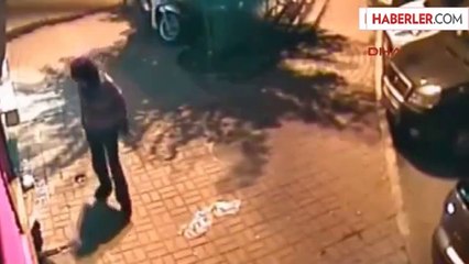 2 Yavru Kediyi İşkenceyle Öldürdü