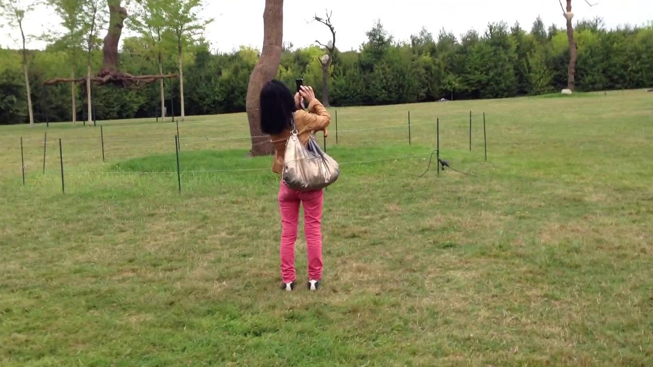 Château de Versailles Guiseppe Penone