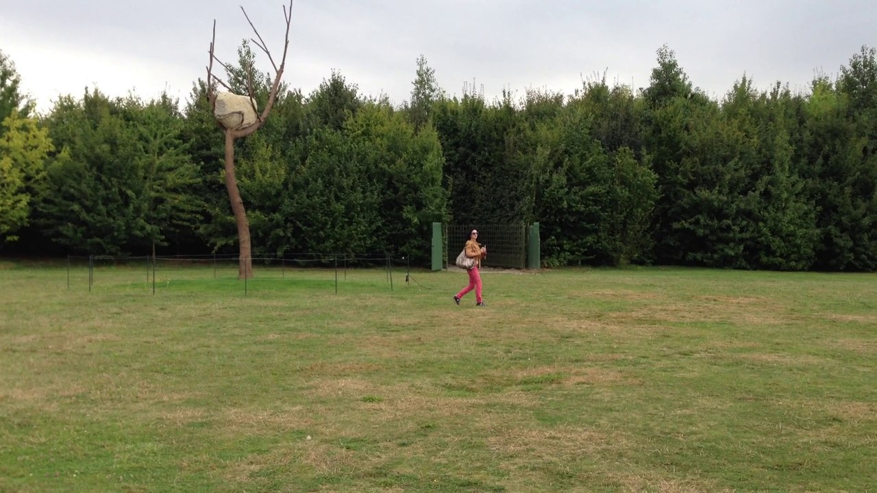 Château de Versailles Guiseppe Penone