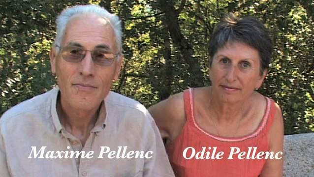 Fenêtre temporelle 2O12-2O19, Le retour des planificateurs invisibles et la Force Sans Visage , Jean Michel Raoux. Chez Debowska Productions : debowska.fr