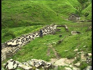 C'est pas sorcier - Transhumance