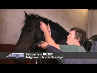 C'est pas sorcier -Le Cadre Noir : les sorciers montent sur leurs grands chevaux