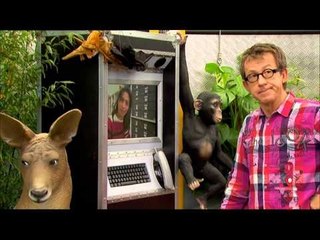 C'est pas sorcier -Les mammifères, nés dans l'ombre des dinosaures