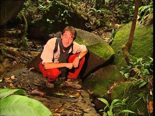 C'est pas sorcier - AU CŒUR DE LA FORET TROPICALE