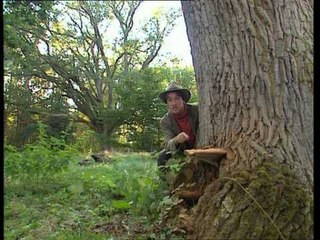 C'est pas sorcier - Cépe à sorcier