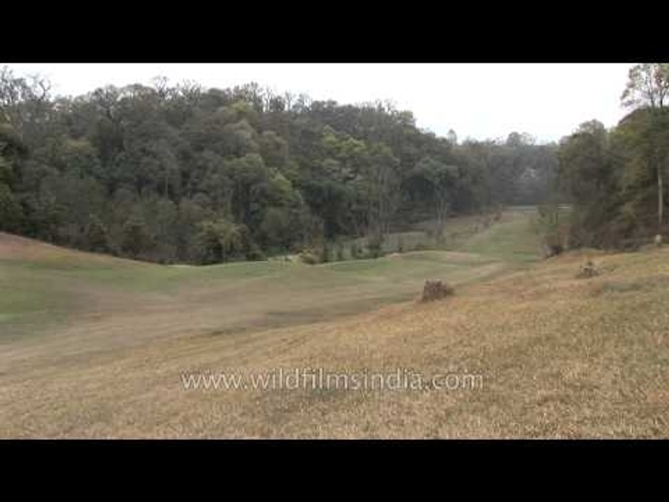Golf Course, Kathmandu, Nepal