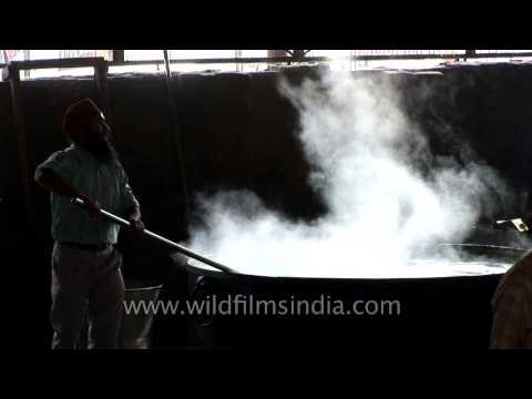 Cooking langar at Golden Temple - Amritsar, Punjab