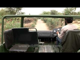 Driving through the rural roads of Rajasthan
