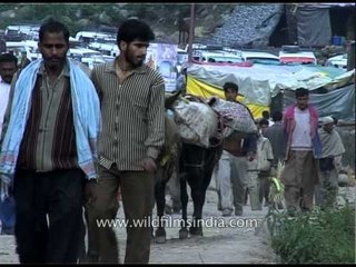 Скачать видео: Pilgrims on way to the holy shrine of Amarnath