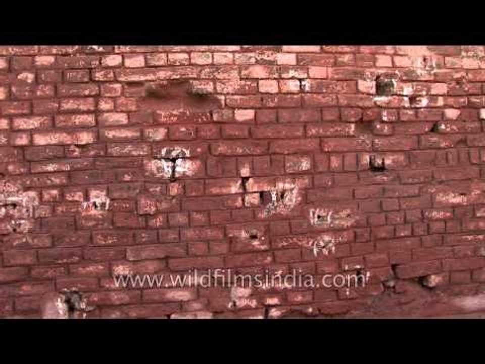 Bullet marks at Jallianwala Bagh - Amritsar