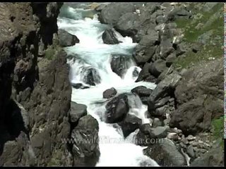 Water streaming down the Amarnath valley