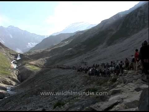 Pilgrims ride ponies on their way to Amarnath cave