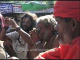 Sadhus smoking chillums during Amarnath yatra