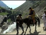 Pilgrims travel by foot, ride ponies to reach Amarnath holy cave