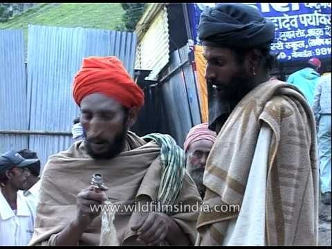 Sadhus share chillums on trail to Amarnath Yatra