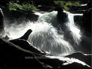 Stream with water gushing - Kashmir