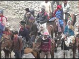 Pilgrims riding ponies on the way to Amarnath cave