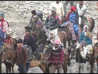 Download Video: Pilgrims riding ponies on the way to Amarnath cave