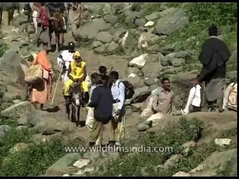 Hindu pilgrims trekking their route to Amarnath cave