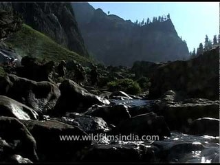 Скачать видео: Hindu pilgrims on their way to Amarnath cave shrine