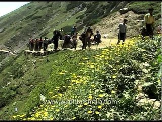 Video herunterladen: Hindu pilgrims walk towards the cave shrine of Amarnath