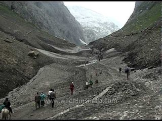 Download Video: Amarnath pilgrims heading towards holy shrine