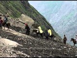 Hindu pilgrims on their way to the holy shrine of Shri Amarnath ji